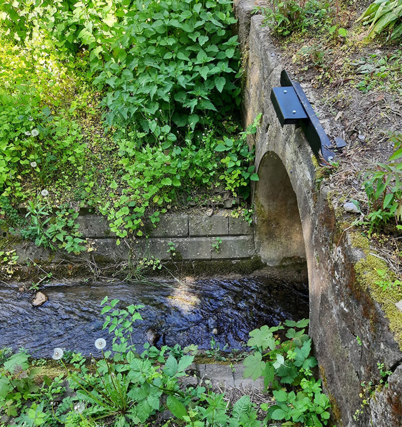 LoRaWAN-Pegelmessgerät an einem Bachlauf unter einer Brücke – digitale Wasserstandserfassung in der Natur.