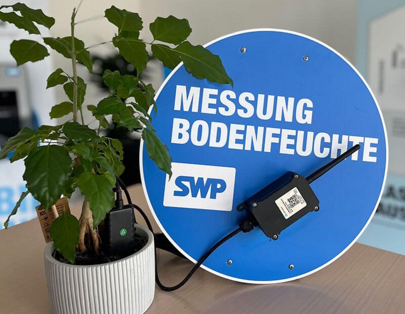 Pflanzensensor zur Bodenfeuchtemessung in einem Blumentopf, verbunden mit einem LoRaWAN-Modul der SWP zur drahtlosen Datenübertragung.