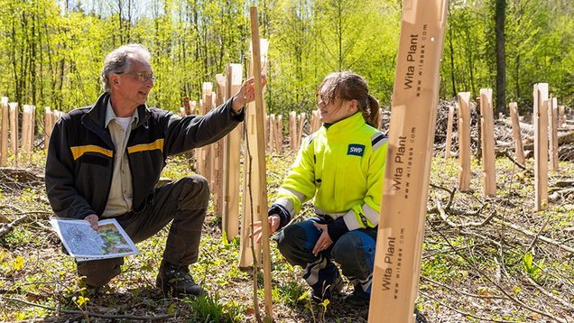 Ein Teaserbild zum Thema Klimaprojekte