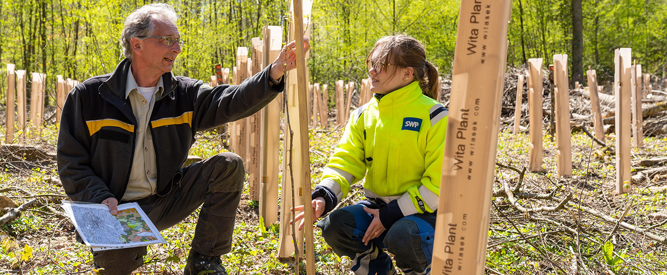 Klimaprojekte